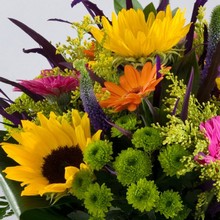 Florist Choice Vibrant