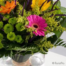 Florist Choice Vibrant