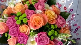 Florist Choice Hand Tied Bouquet Vibrant
